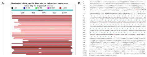 ncbi nucleotide blast|ncbi blast nucleotide search.
